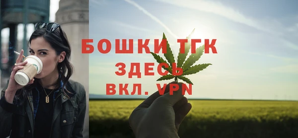 бошки Алексин