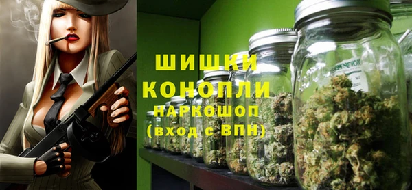 бошки Алексин